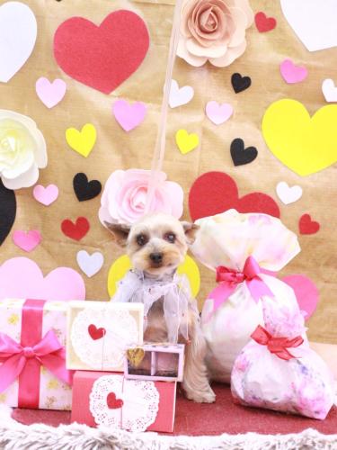 20230226ノアくん